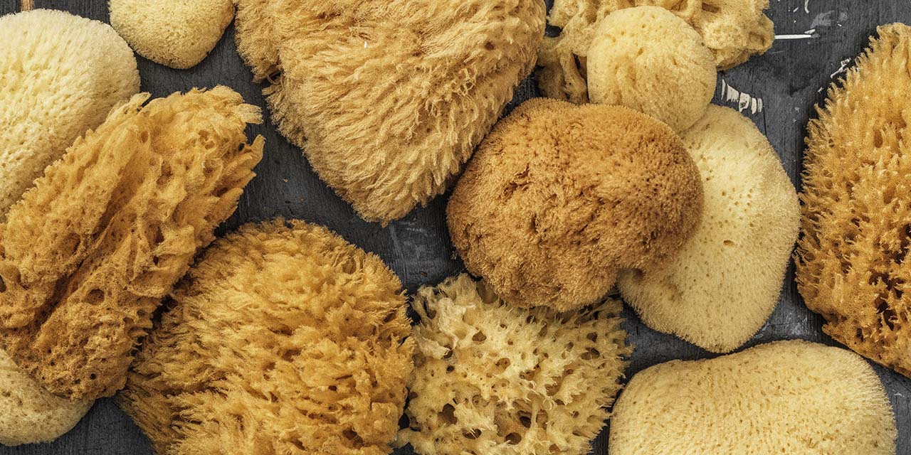 Slideshow article image