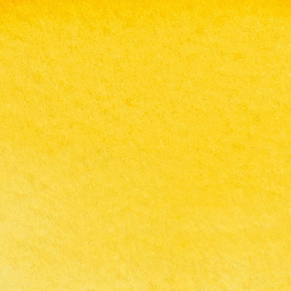 WC Markers Yellow Ochre