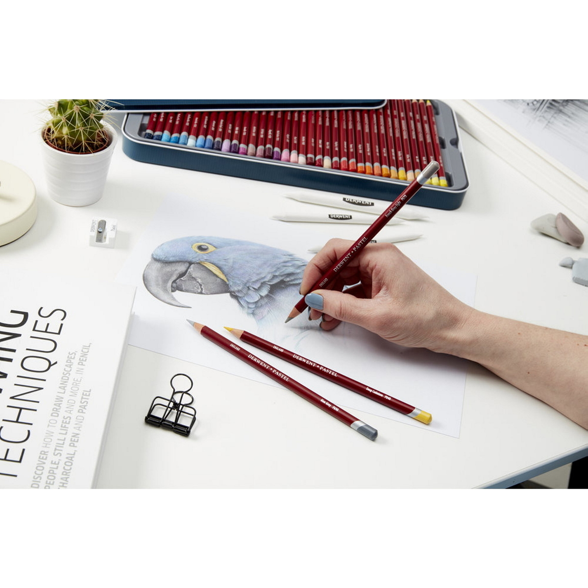 Derwent pastellpennor 12 Skin