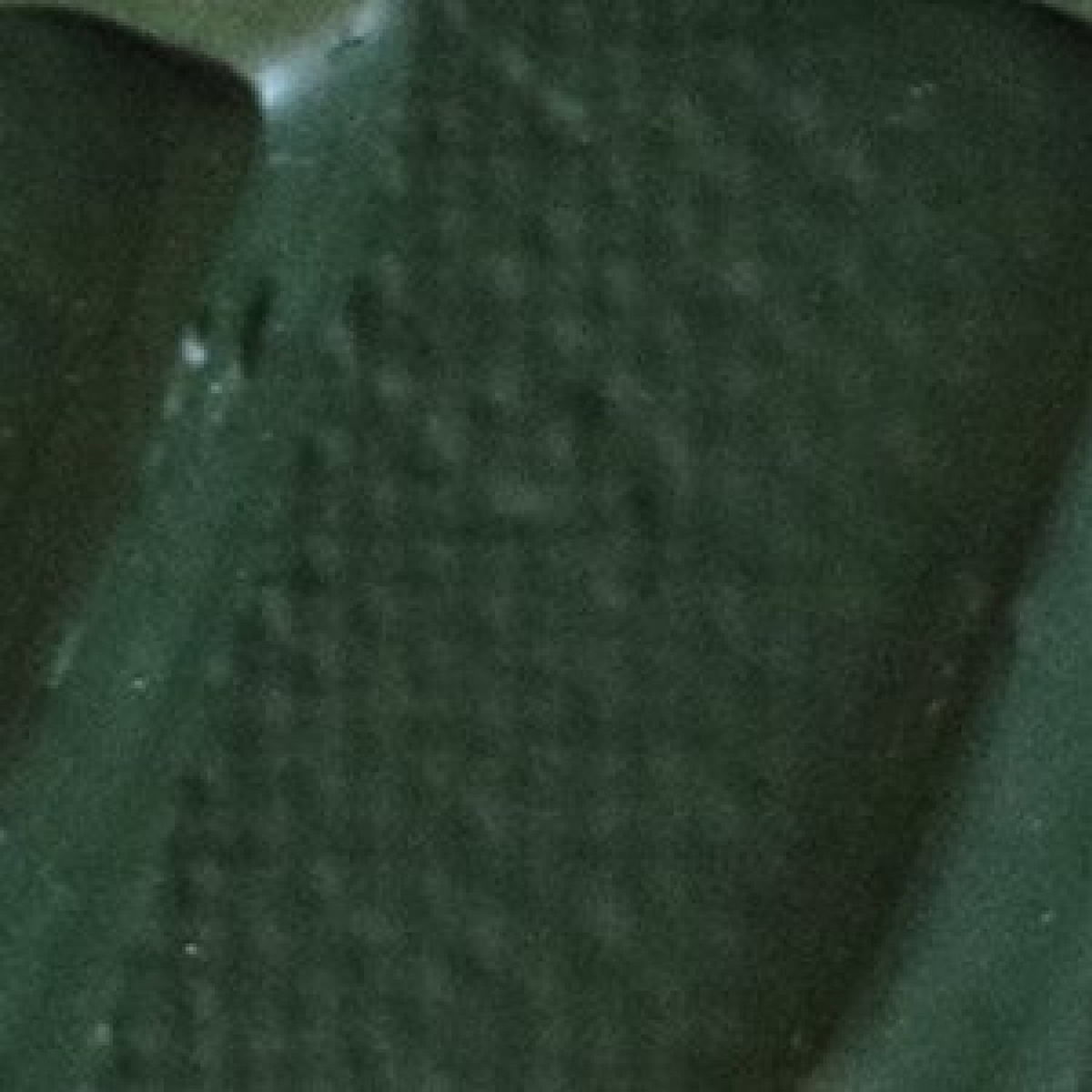Origin Acrylic 120ml flou gree