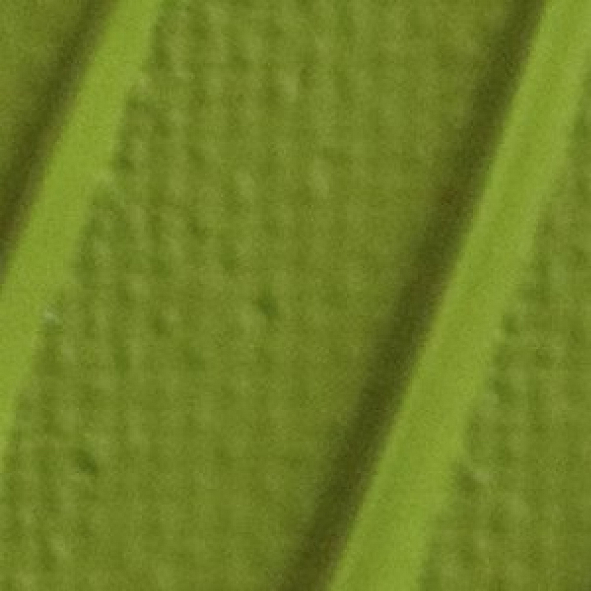 Origin Acrylic 120ml flou gree