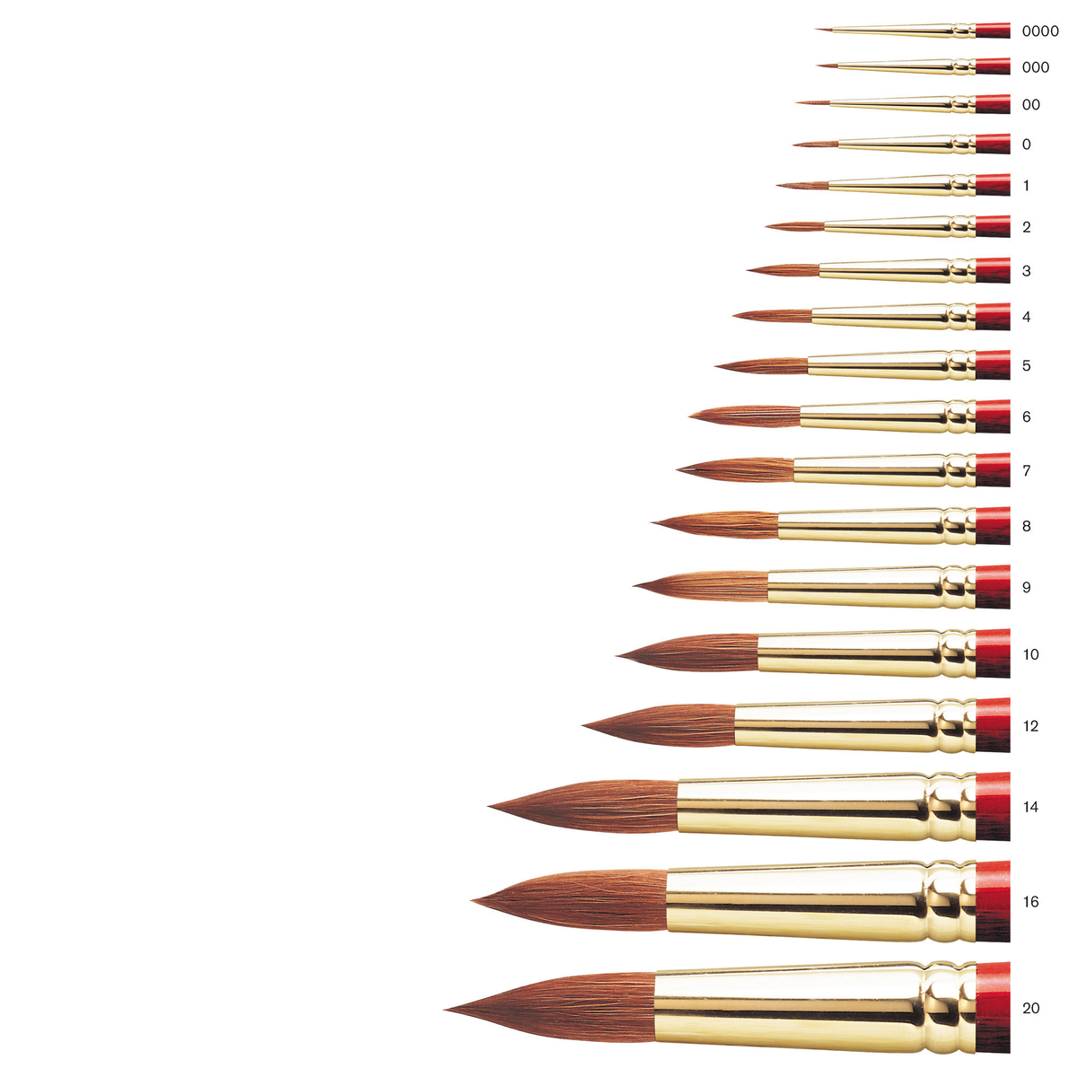 Sceptre Gold 101-000 akvarellp