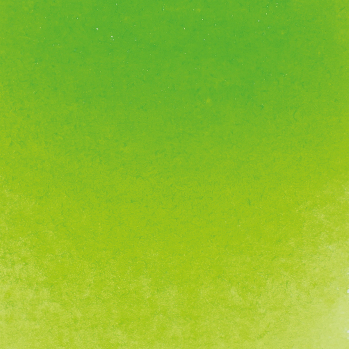 Horad Akv Silver 5ml