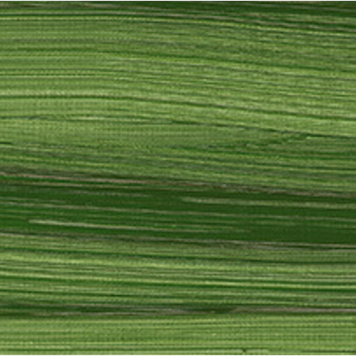 Norma Blue 35ml Neutral Black