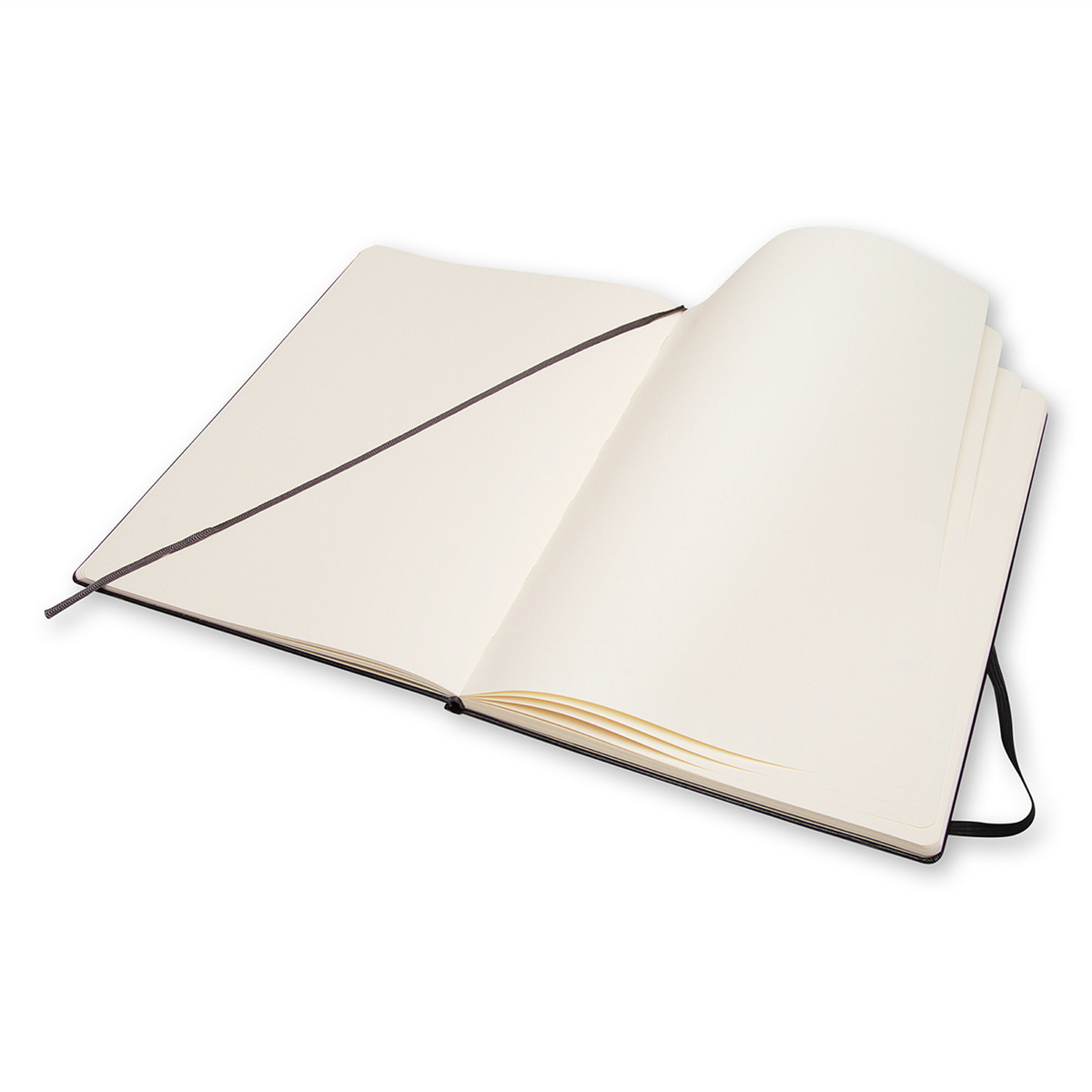 Moleskine Sketchbook Large