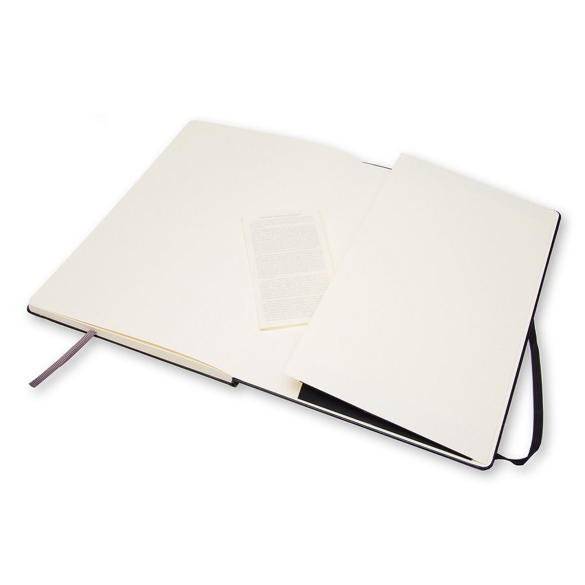 Moleskine Sketchbook Large