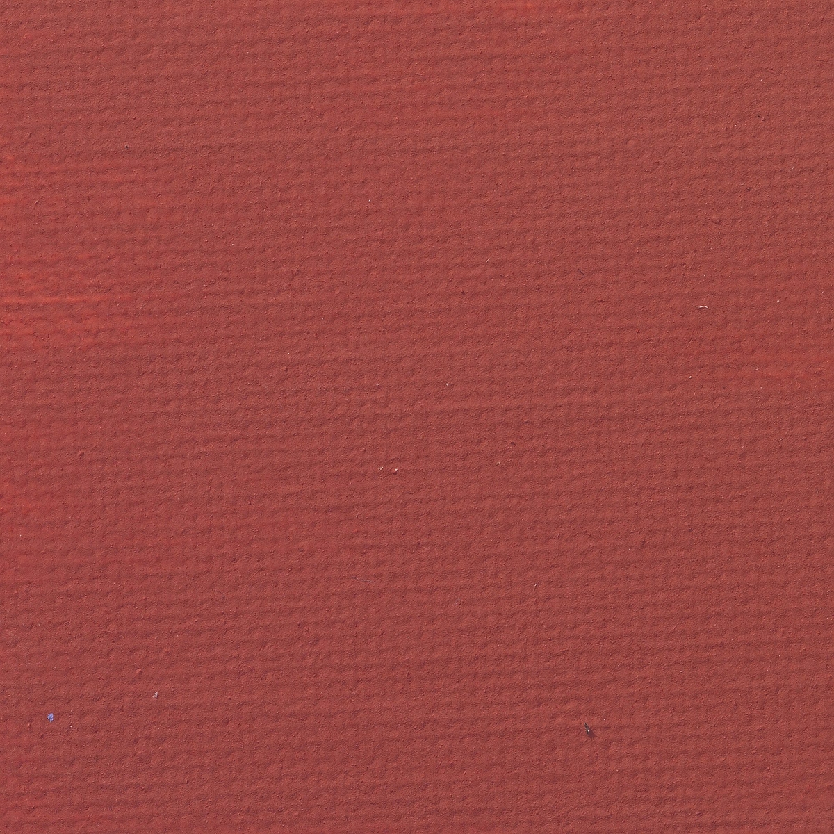 P. Acrylic matt Burnt umber