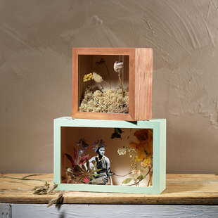 Tittskåp obehand.trä 20x30x11