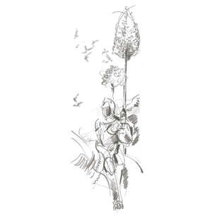 Castell 9000 Jumbo set 5p