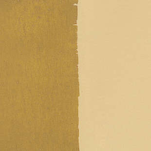 Färgpigment Zinc White