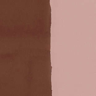 Färgpigment Zinc White