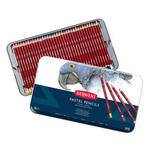 Derwent pastellpennor 12 Skin