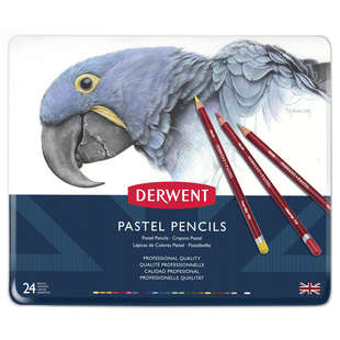 Derwent pastellpennor 12 Skin