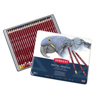 Derwent pastellpennor 12 Skin