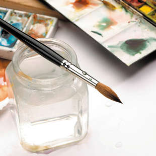 W&N Prof Akv Black Box 12hp