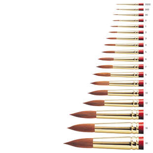 Sceptre Gold 101-000 akvarellp