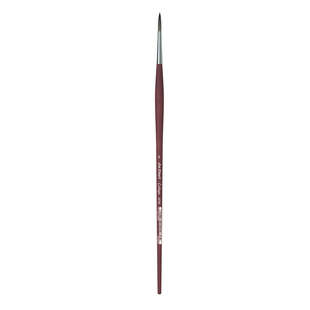 College 8730 Round Brush 12