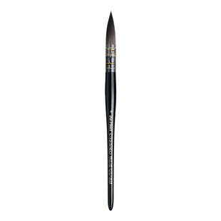 Casaneo 498 Wash Brush smoth.2