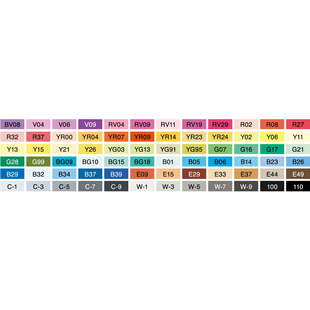 Copic Sketch skin col. set 12