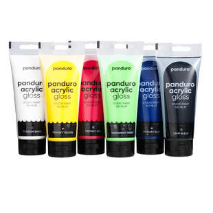 P. Acrylic gloss 6x100ml basic