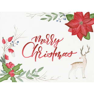 A.Dürer watercol. marker 10st