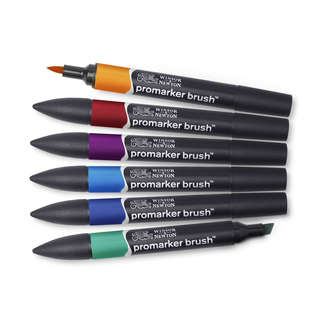W&N Prom. Brush 6xSkin T. Set