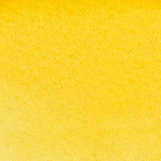 WC Markers Yellow Ochre