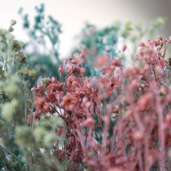 NO LIMIT spray 200ml Brown