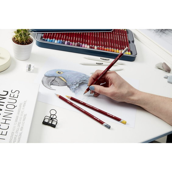 Derwent pastellpennor 12 Skin