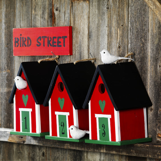 Outdoor Paint Spring 6x20 ml