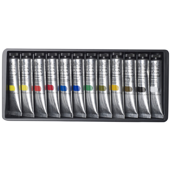 Professional Acrylic 12x20 ml