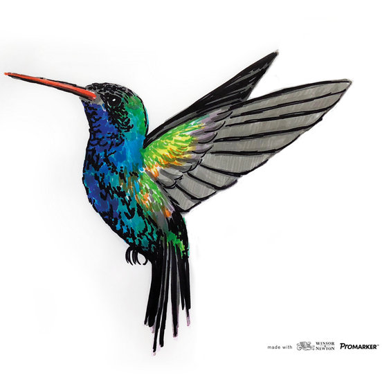 W&N Promarker Dusky Rose