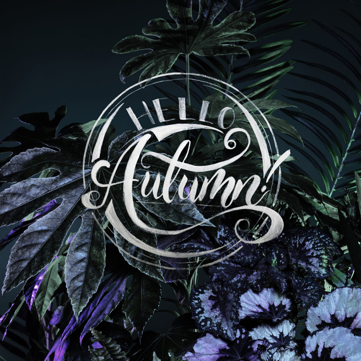 Skriv flot - Hello Autumn!
