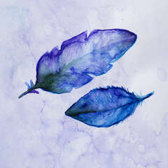 Vattenpensel Koi medium